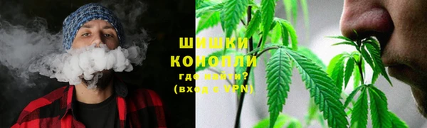 сатива Белая Холуница