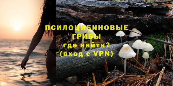 бутират Гусев