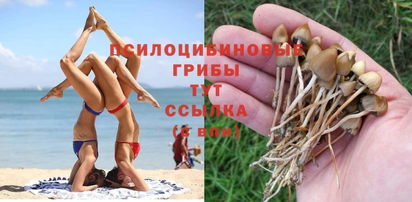 сатива Белая Холуница