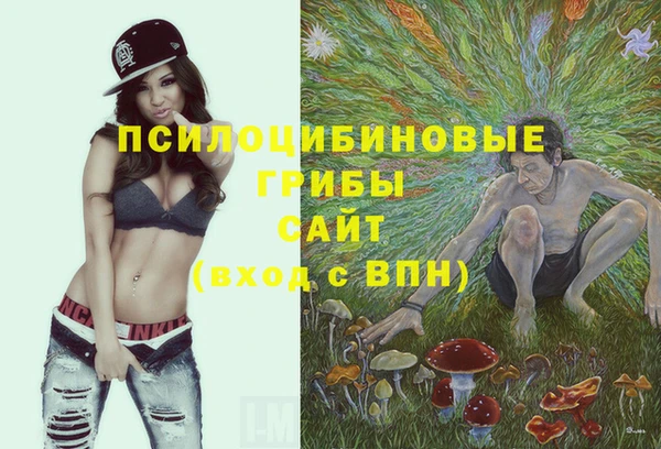 сатива Белая Холуница