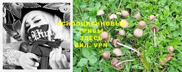прущая мука Бабаево