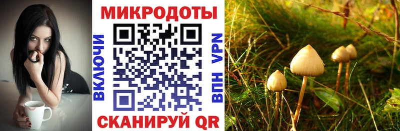 Галлюциногенные грибы прущие грибы  Заинск 