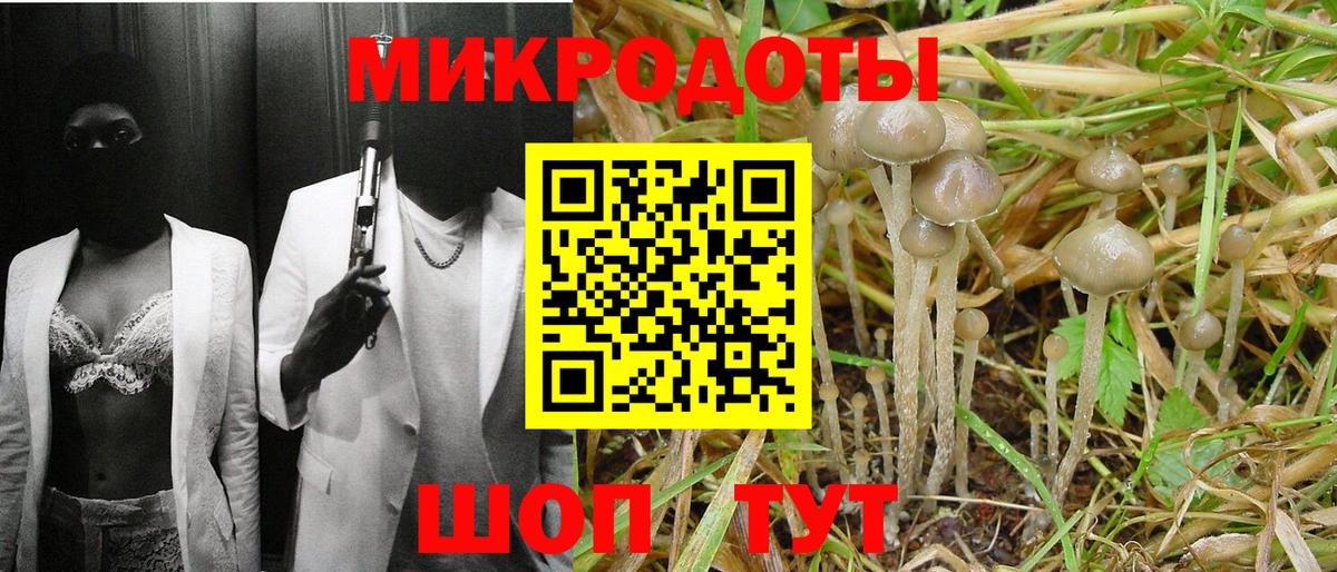 Заинск  Галлюциногенные грибы Cubensis  Вход с VPN  Галлюциногенные грибы мицелий 