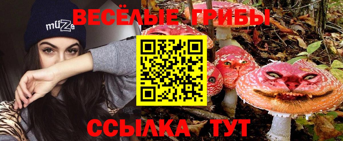 Псилоцибиновые грибы ЛСД Заинск